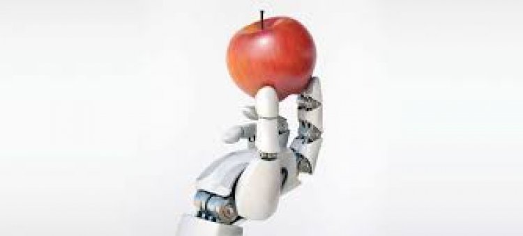Inteligência artificial: vantagens e desvantagens no setor de alimentação