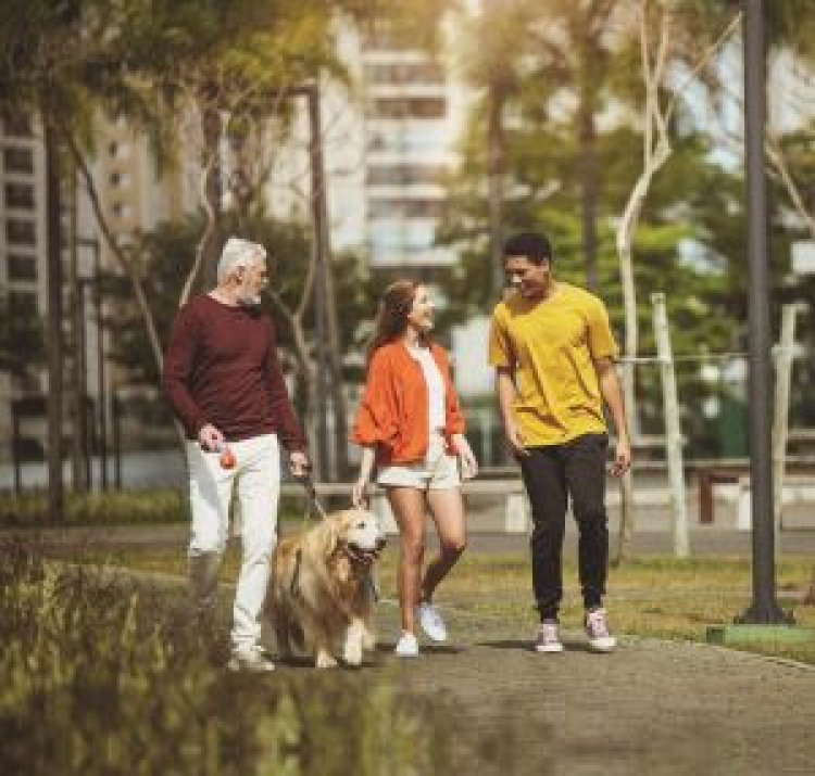 O impacto positivo dos parques na saúde e no bem-estar de crianças e adultos