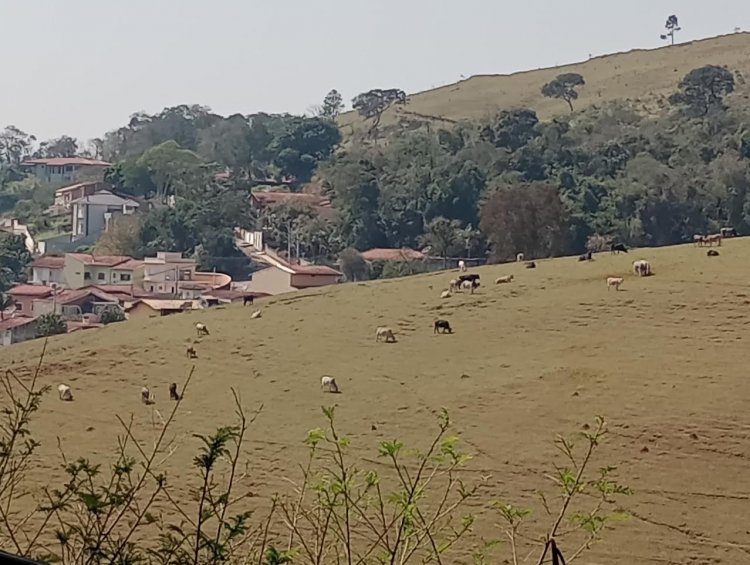 Conhecendo o Festival Gastronômico da Truta e da Macadâmia e a cidade de Piracaia